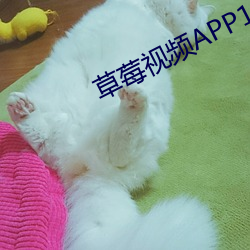 草莓視頻APP18禁