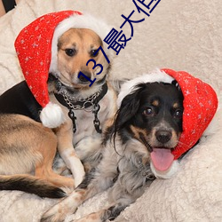 137最大但人文艺术 （天长地久