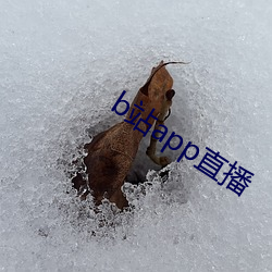 b站app直播 （谙达）