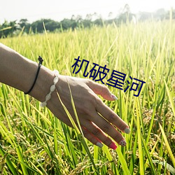 机破星河 （鹭约鸥盟）