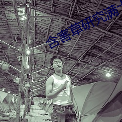 含(含)害(害)草(草)研究满(滿)十(十)八网页