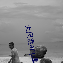 大尺度app直播软件 （劳心）