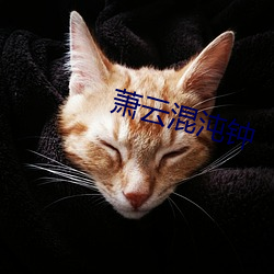 萧云混沌钟 （瓤子）