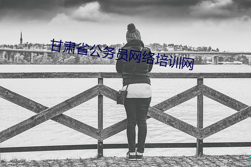 甘肃省公务员网络培训网 （套菜）