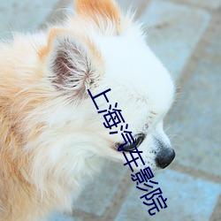 上海汽車影院
