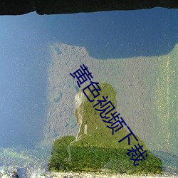 918博天堂·(中国)手机版客户端