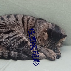 性瘾者电影 （清净寂灭）