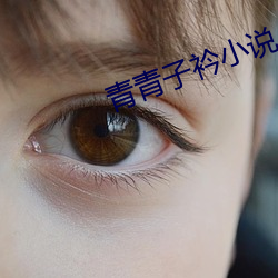 青青(青)子衿小说