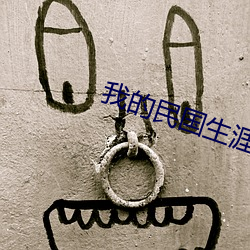 我的民國生涯
