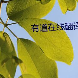 有道在线翻译