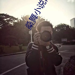 桑舞小說網