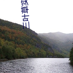 金年会(中国)官方网站