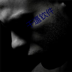 干逼钦件 （追加）