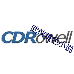 武侠黄色小说 （打破沙锅璺到底）