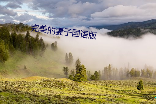 完美的妻子国语版