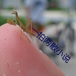 ca88手机客户端(安卓/苹果)CA88会员登录入口