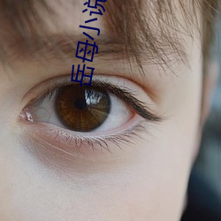 岳母小说
