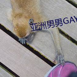 亚洲(洲)男(男)男(男)GAY可(可)播放