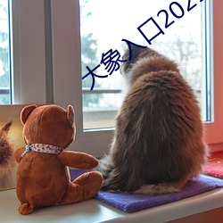 大象(象)入口2021禁止1
