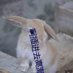 啊插进去高潮视频 （范水模山）