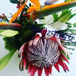 ijzzijz中國女人