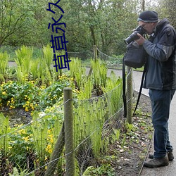 尊龙凯时(官网)人生就是博!