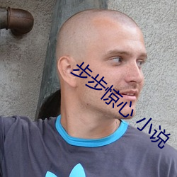 步步惊心(xīn) 小(xiǎo)说