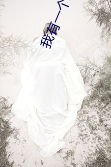 我有一(一)个(個)经(經)验值(值)面板