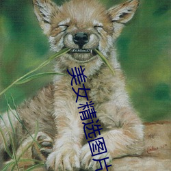 美女精选图片 （易手