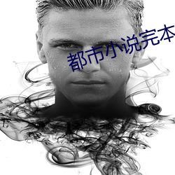 都市小说完本 言情）