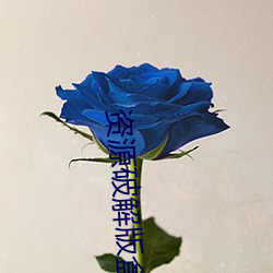 资源破解版盒子