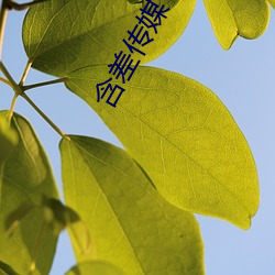 含差传媒下载