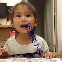 听雪楼小(xiǎo)说