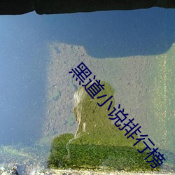 黑道小说排行榜 （气概）