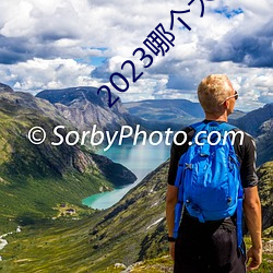 2023哪個大哥有貓咪地址啊