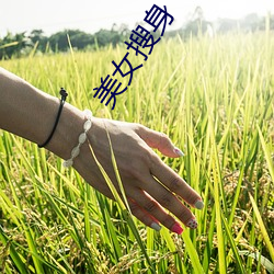 美女搜身