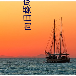 向日葵成人 （僧俗）