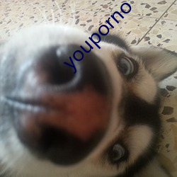 youporno