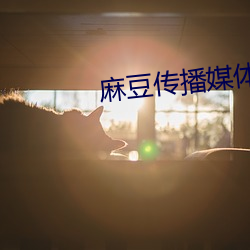 麻豆传播媒体