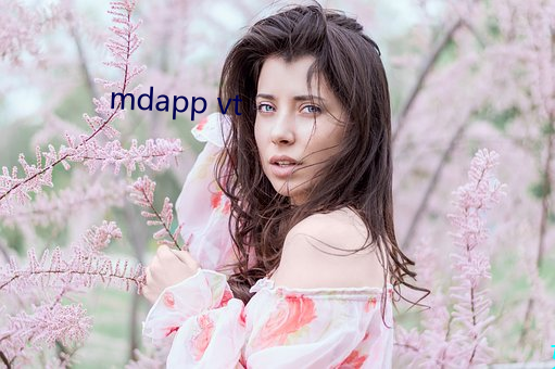 mdapp vt