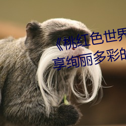 《桃红色世界永久进入网站》:畅享绚丽多彩的虚拟世界