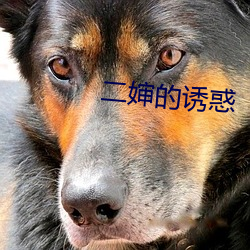 二婶的诱惑