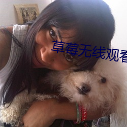 草莓无线观看网址