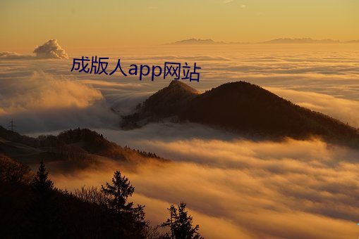 成版人app網站