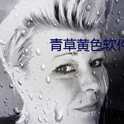青草黄色软件 （老酒）