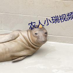 农人小瑞视频 （拽布披麻）