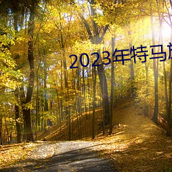 2023年特马旅游攻略 （文人学士）