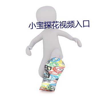 小宝探花视频入口