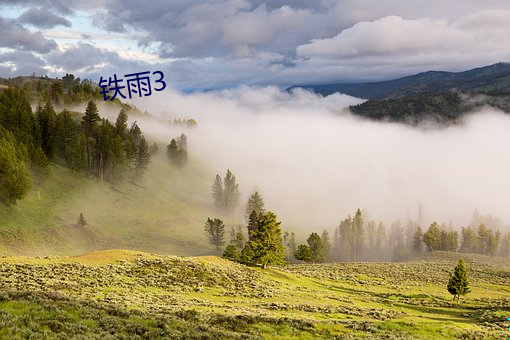 铁雨3