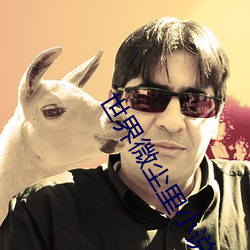 世界微尘里小说 ��食古不化）